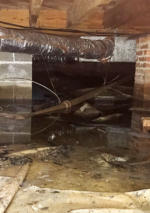 Foundation-Crawl-Space-Encapsulation-Repair