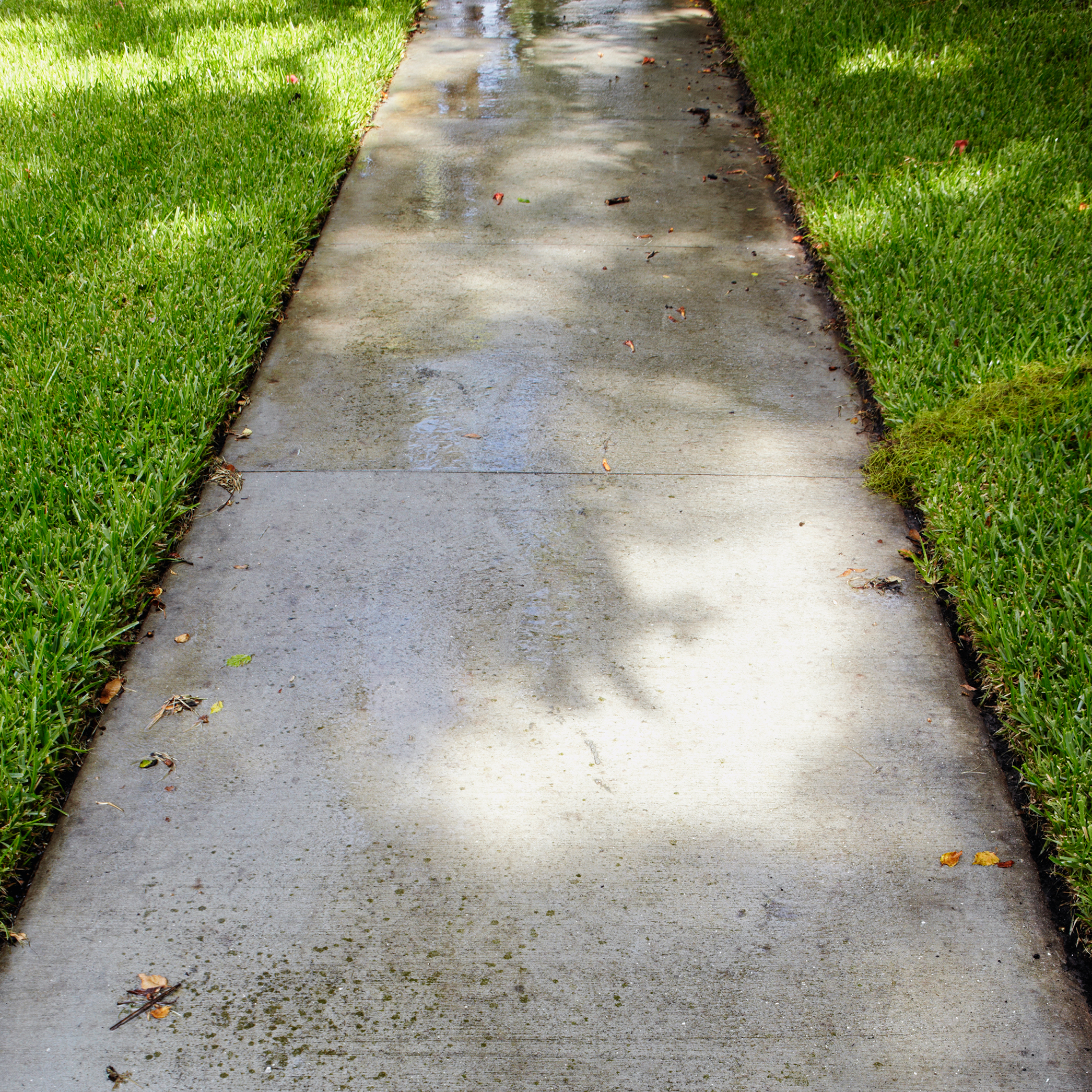 Wet driveway