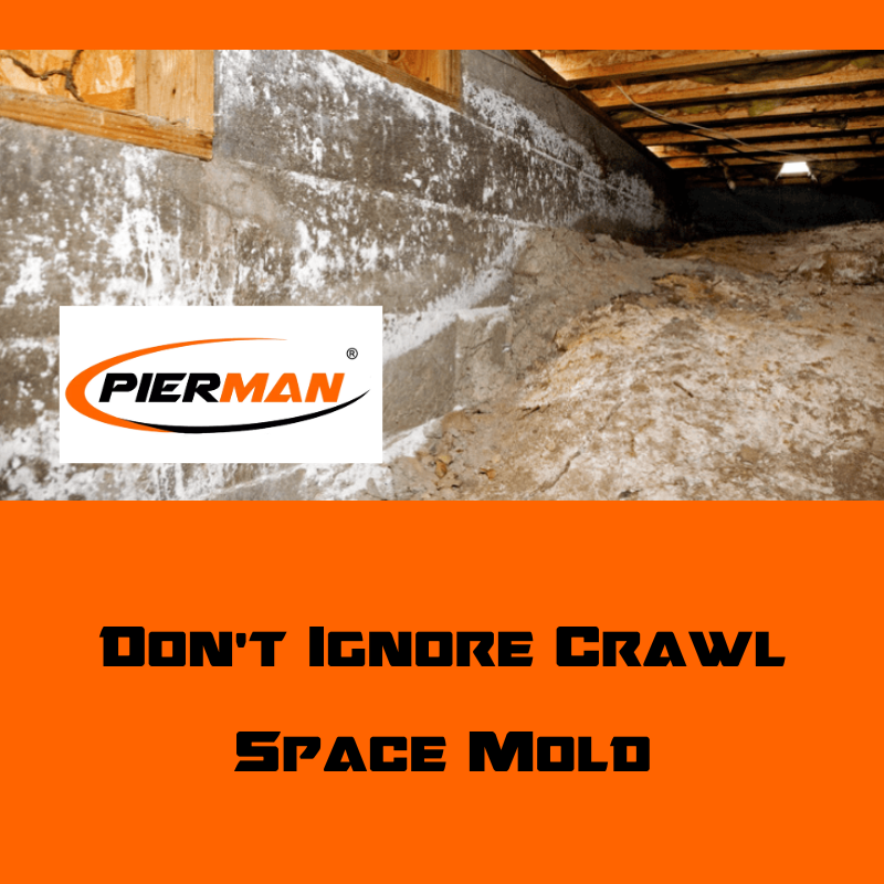 Featured image for blog "Don’t Ignore Crawl Space Mold"