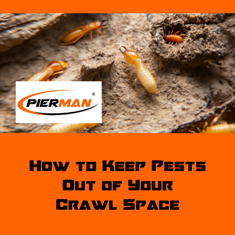 How to keep pests out of your crawl space